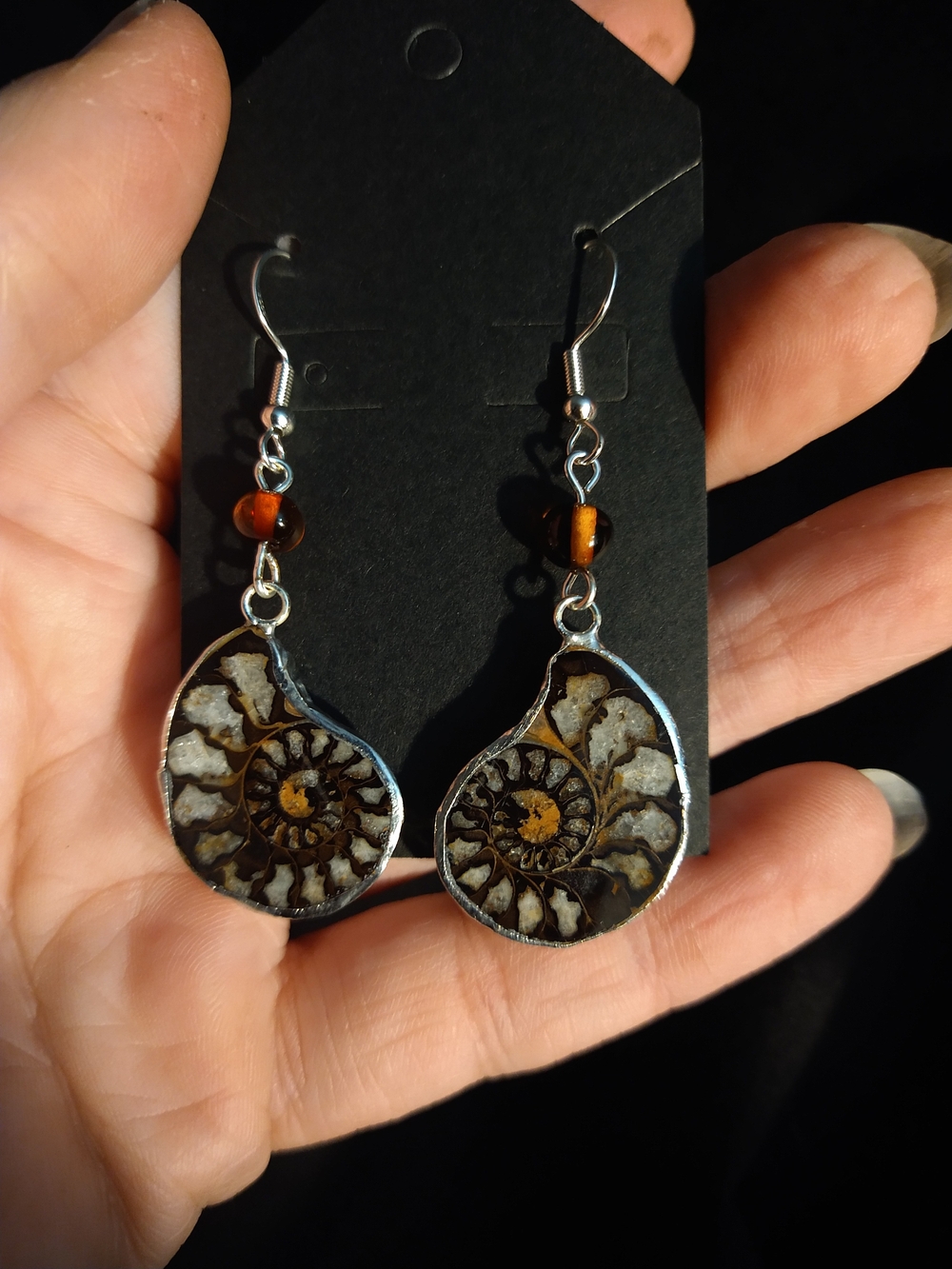 Fossil Ammonite Drop Earrings in Brown and Black With Amber